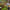 2427 - Micro Reel en usage 1 2427 - Micro Reel en usage 1